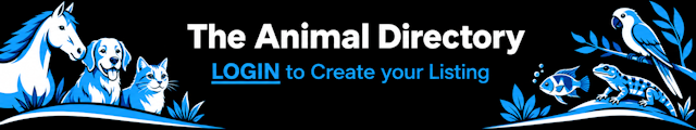 Click Here to Create your Ad